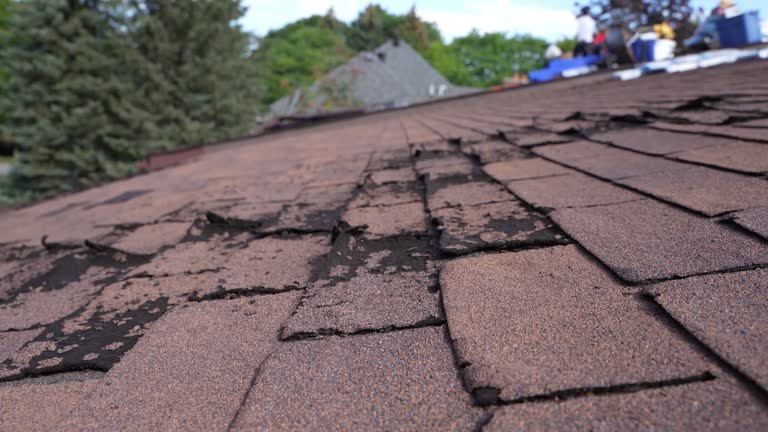 Best Roof Repair  in Liberty, PA